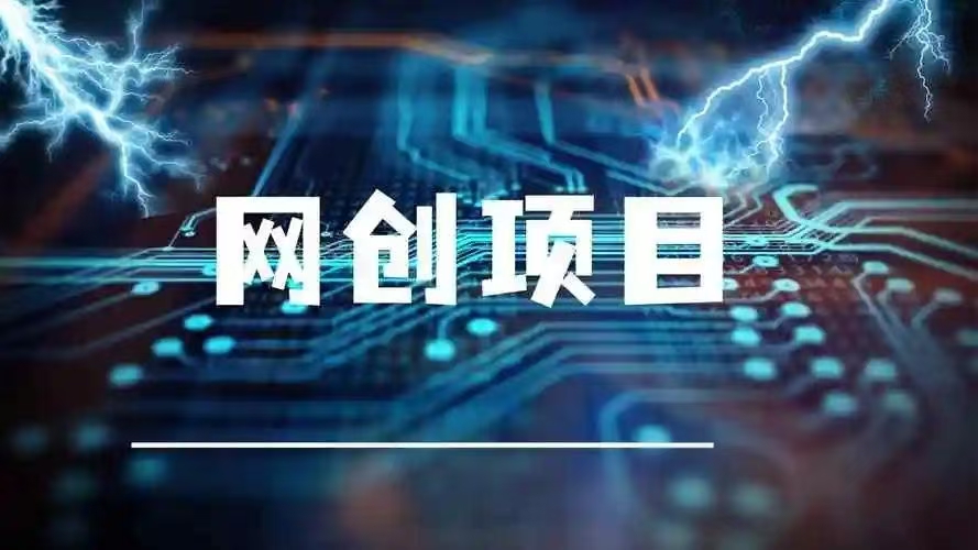 网络项目